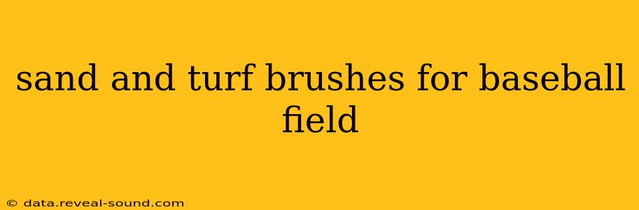 sand and turf brushes for baseball field