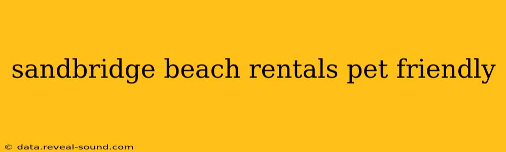sandbridge beach rentals pet friendly