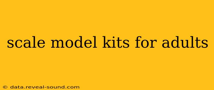 scale model kits for adults