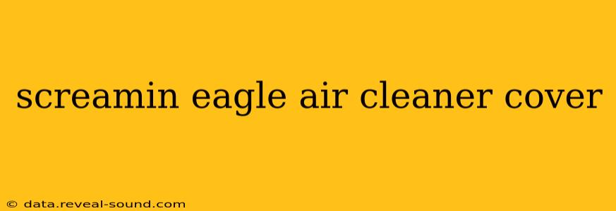 screamin eagle air cleaner cover