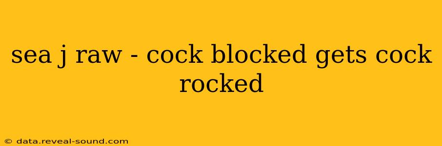 sea j raw - cock blocked gets cock rocked sea j raw - cock blocked gets cock rocked