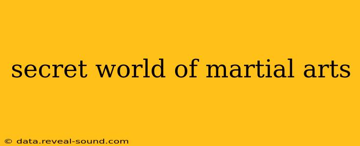 secret world of martial arts