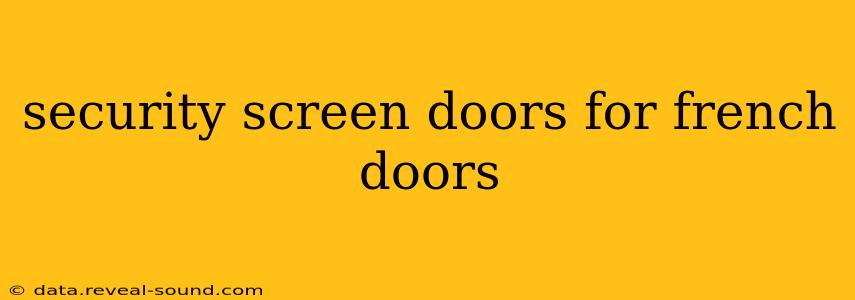 security screen doors for french doors