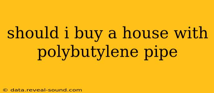 should i buy a house with polybutylene pipe