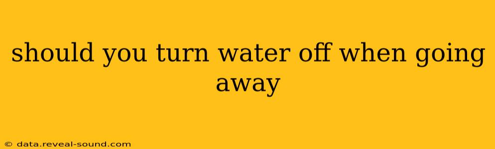 should you turn water off when going away