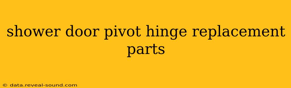 shower door pivot hinge replacement parts