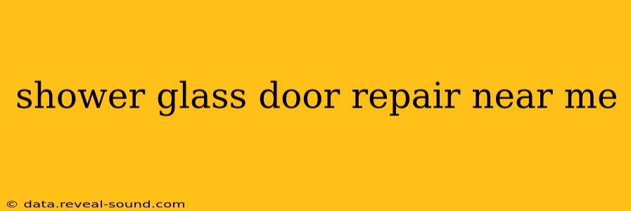 shower glass door repair near me