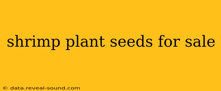 shrimp plant seeds for sale