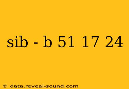 sib - b 51 17 24
