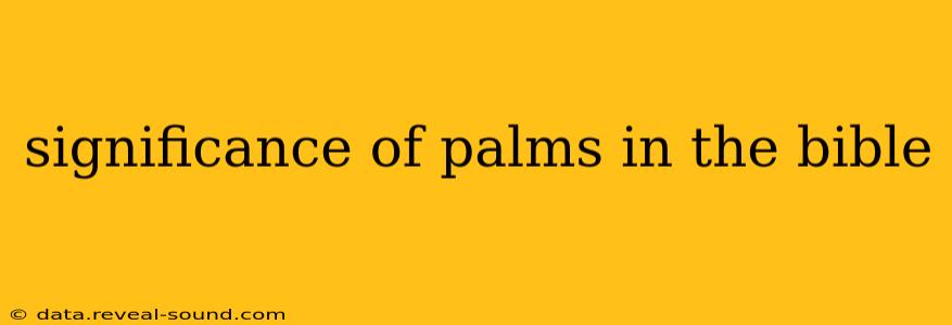 significance of palms in the bible
