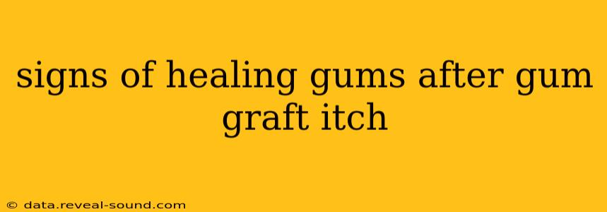 signs of healing gums after gum graft itch