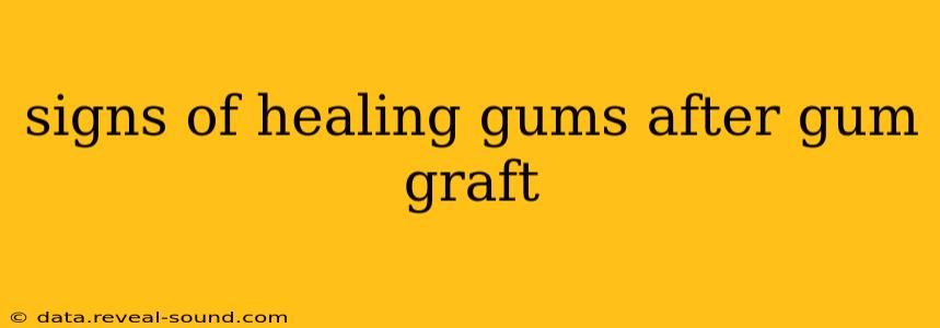 signs of healing gums after gum graft
