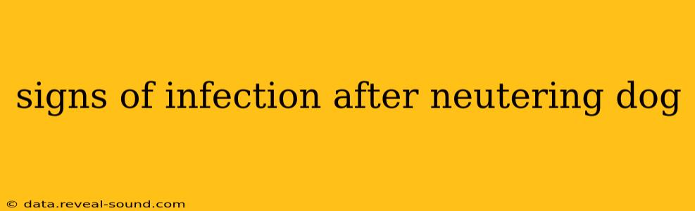 signs of infection after neutering dog