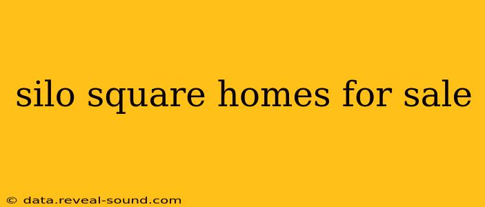 silo square homes for sale