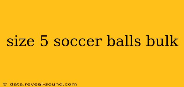 size 5 soccer balls bulk