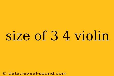 size of 3 4 violin