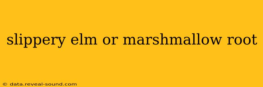 slippery elm or marshmallow root