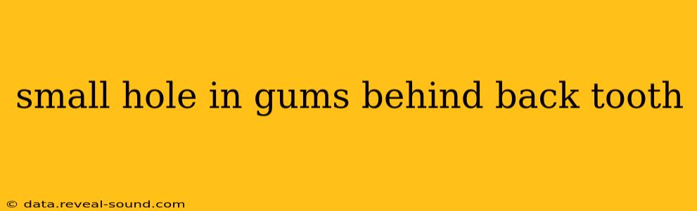 small hole in gums behind back tooth