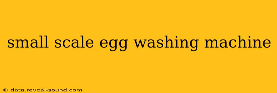 small scale egg washing machine