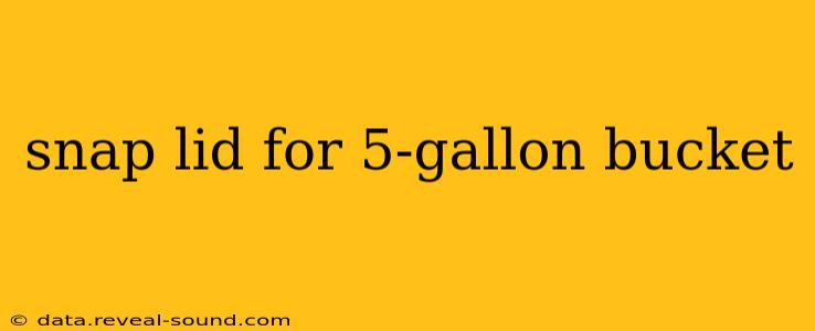snap lid for 5-gallon bucket