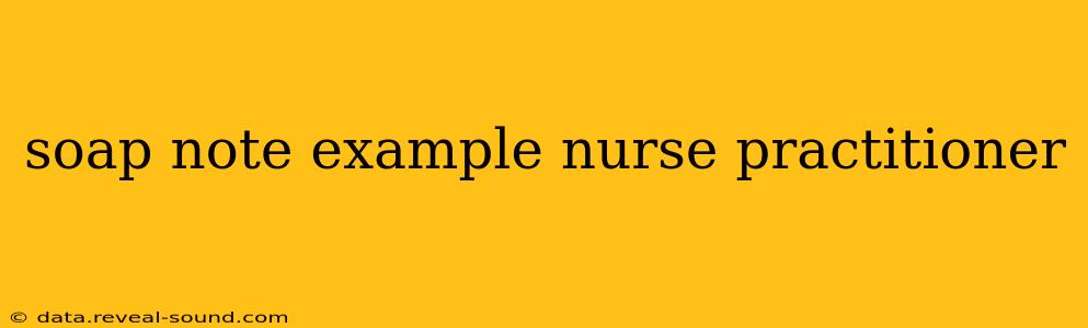 soap note example nurse practitioner
