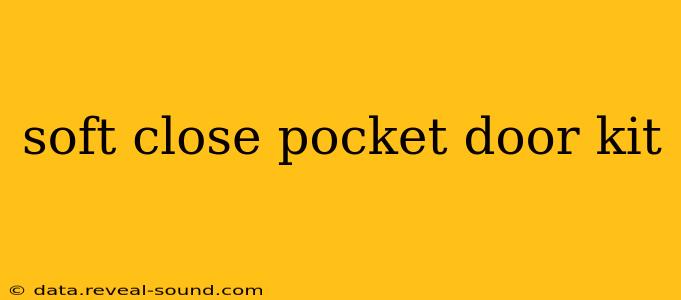 soft close pocket door kit