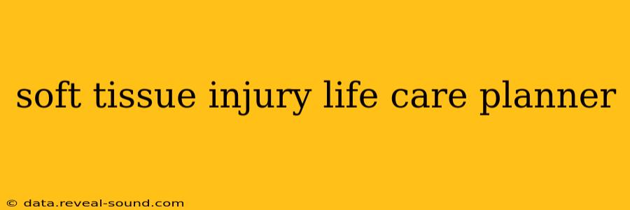 soft tissue injury life care planner