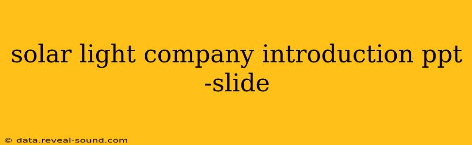 solar light company introduction ppt -slide