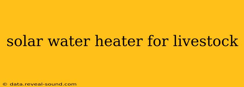 solar water heater for livestock