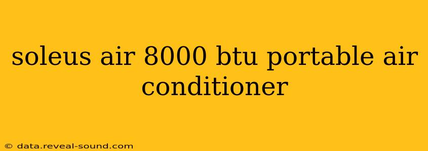 soleus air 8000 btu portable air conditioner