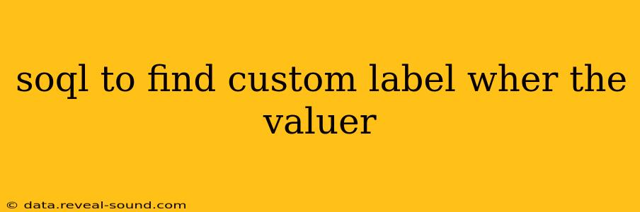 soql to find custom label wher the valuer