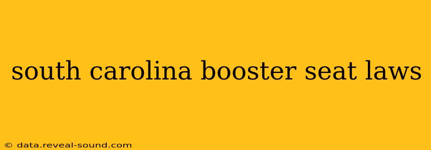 south carolina booster seat laws