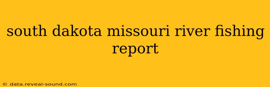 south dakota missouri river fishing report