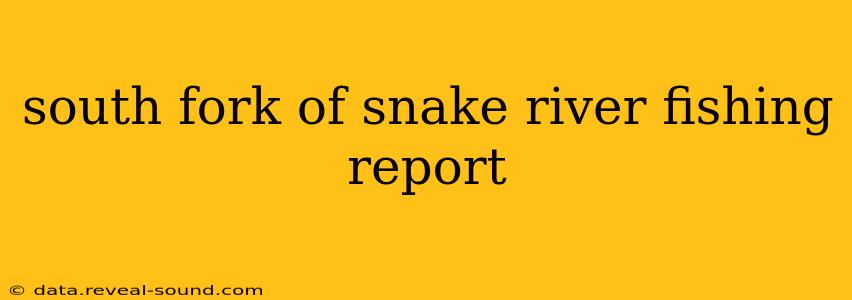 south fork of snake river fishing report