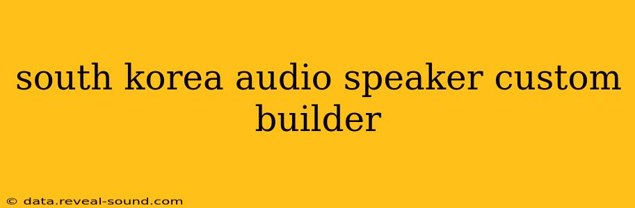 south korea audio speaker custom builder
