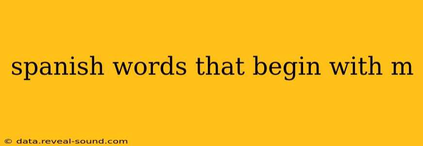 spanish words that begin with m
