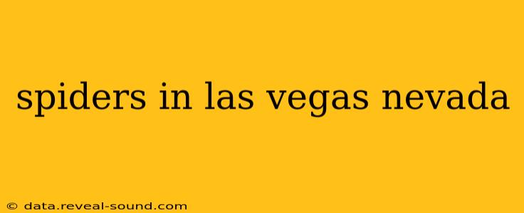spiders in las vegas nevada