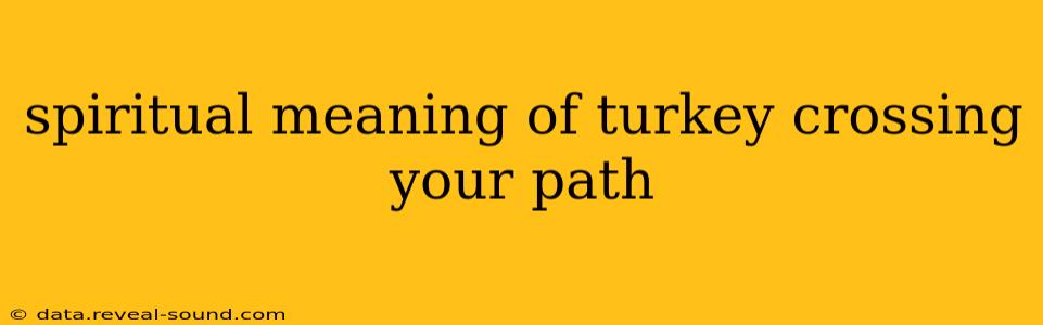 spiritual meaning of turkey crossing your path