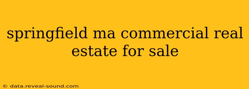 springfield ma commercial real estate for sale