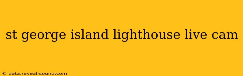 st george island lighthouse live cam