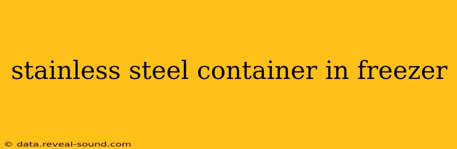 stainless steel container in freezer