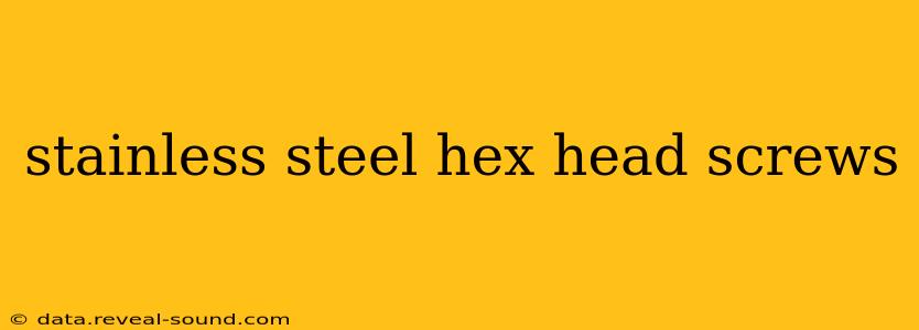 stainless steel hex head screws