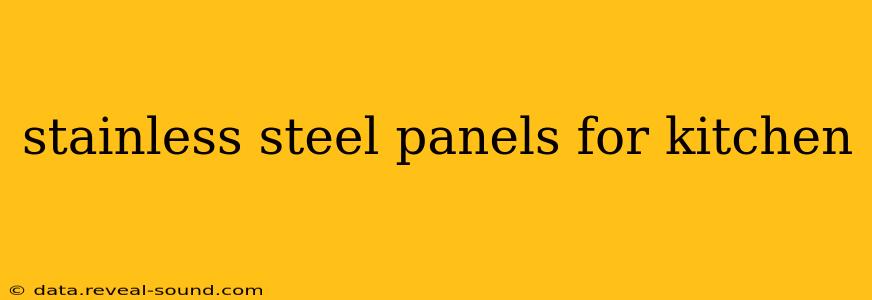 stainless steel panels for kitchen