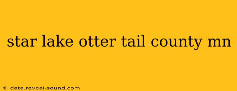 star lake otter tail county mn