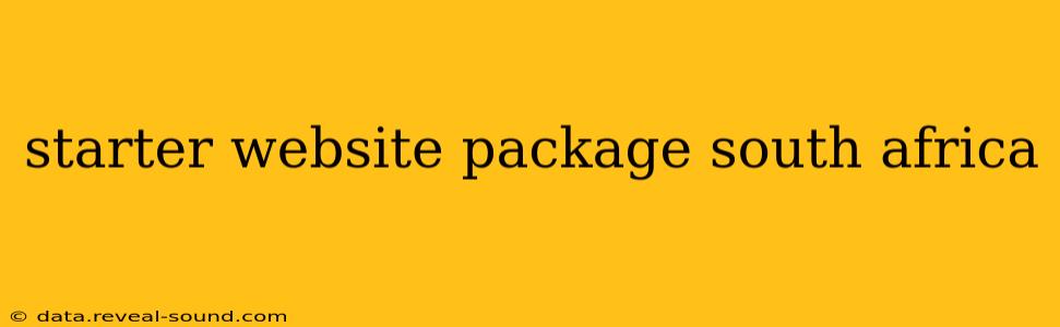 starter website package south africa