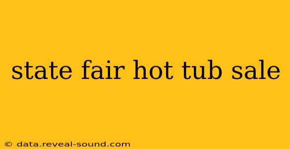 state fair hot tub sale