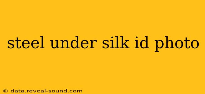 steel under silk id photo