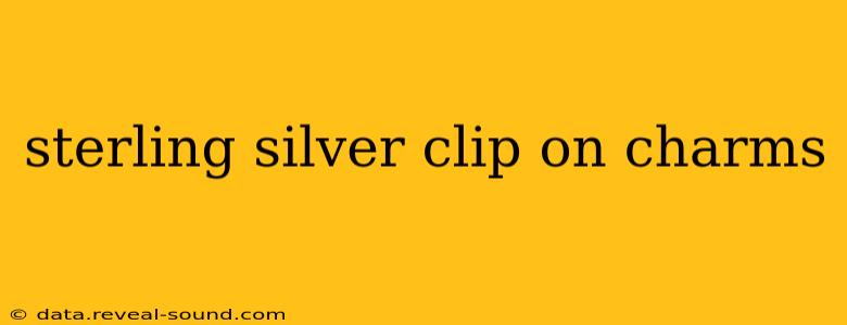 sterling silver clip on charms