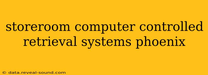 storeroom computer controlled retrieval systems phoenix