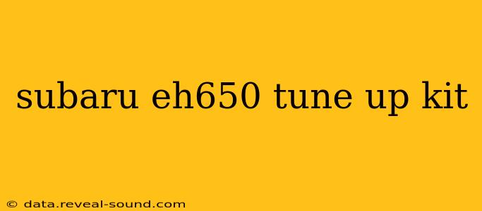 subaru eh650 tune up kit